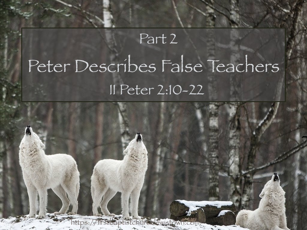 False Teachers described by Peter